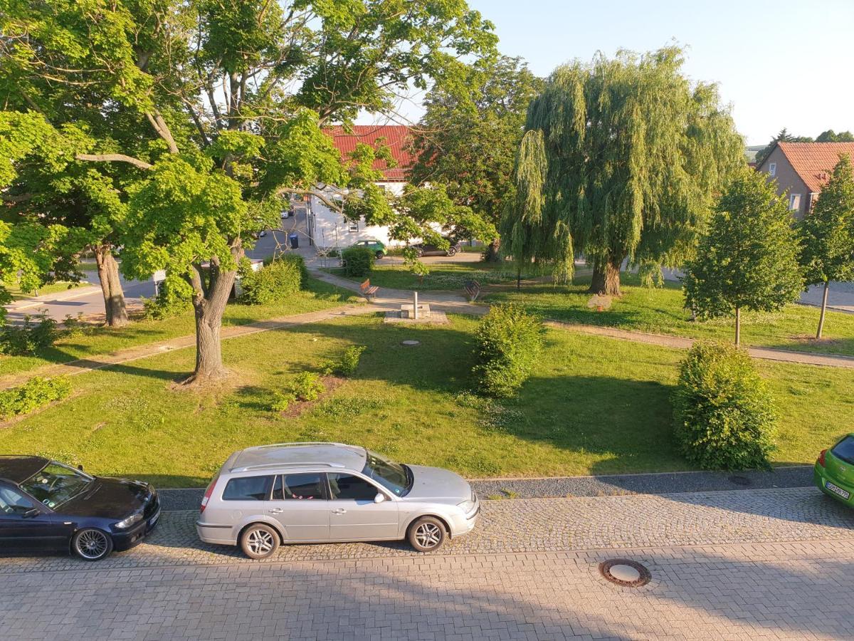 Ganze Ferienwohnung 5 Km Von Erfurt, Mit Kaffeevollautomat, Tv, Wlan, Boxspringbett, Schlafsofa Und Einkaufsmoeglichkeiten, Sehr Gute Anbindung Zur A71 Und A4, Kostenloser Oeff Parkplatz Fuer Pkw Und Transporter Elxleben Exterior foto